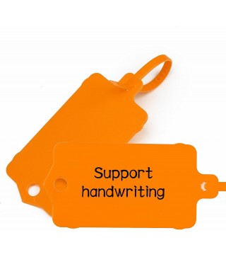 100pcs Blank Plastic Tags for Labeling Reusable Hanging Tags Ties Key Tag