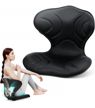 Professional Ergonomic Back Support