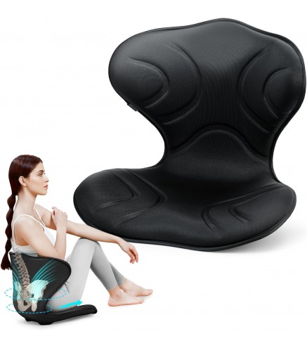 Professional Ergonomic Back Support