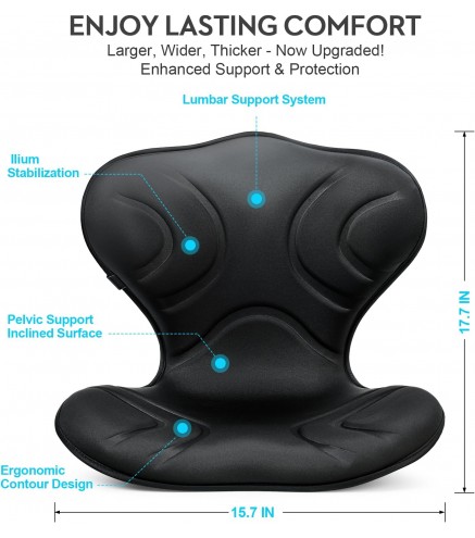 Professional Ergonomic Back Support