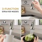 Kitchen Faucets with Sprayer